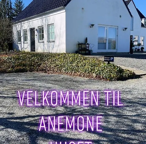 Anemone Huset *